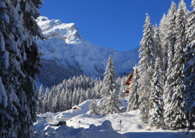 Szkolenie w Falcade 2014