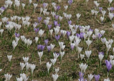 Bormio 2009 Szkolenie Fabryki Narciarzy